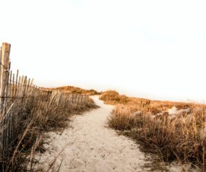 erda-estremera-aSFZKeZiHPc-unsplash erda-estremera-aSFZKeZiHPc-unsplash