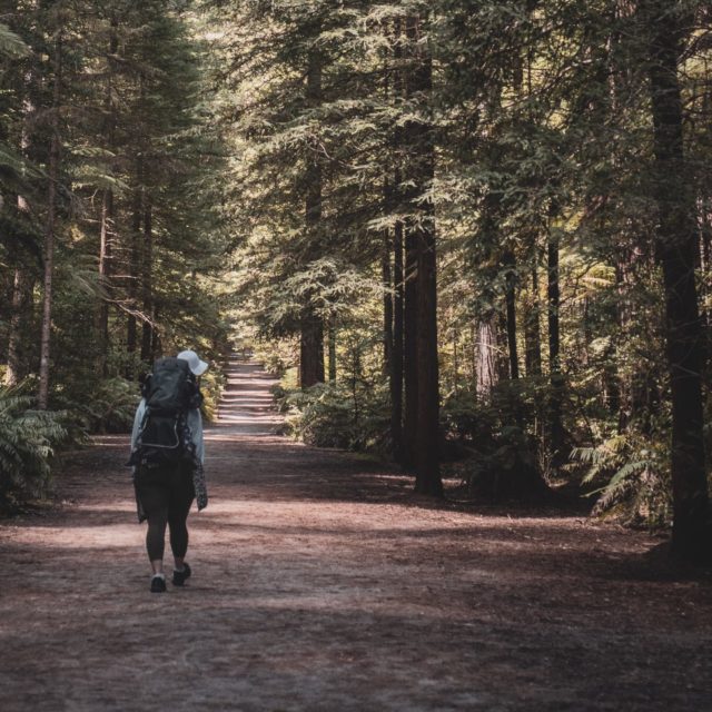rooban-n-S16CLieHFLM-unsplash